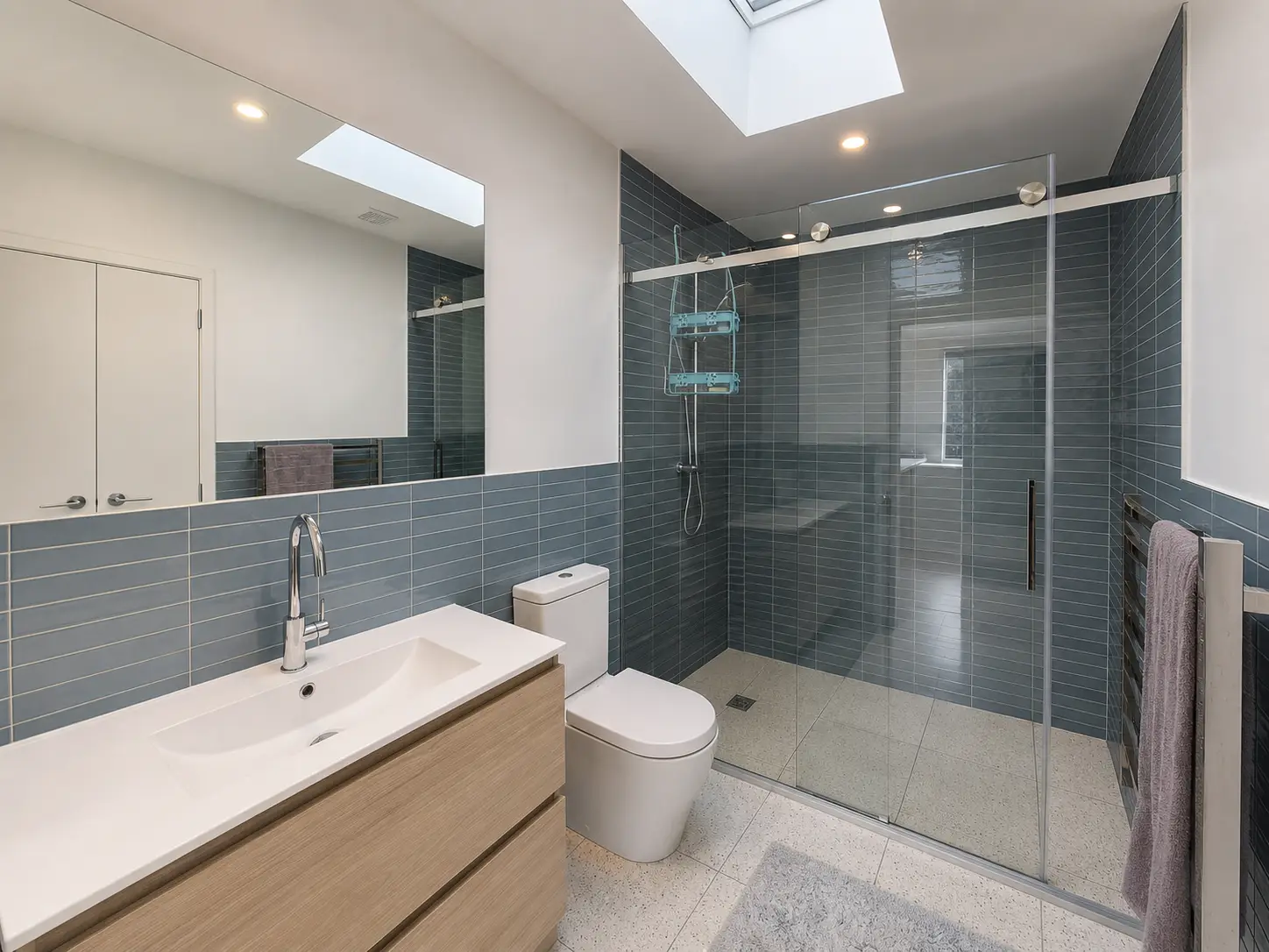 The bathroom — timber vanity and mirror, the toilet beside it, and the tiled shower behind sliding glass under a skylight.