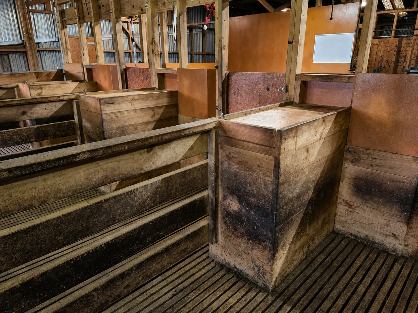 The catching pens behind the board — sawn rails on their posts, the boxed chute standing between two pens, and the slatted grating floor running under all of it.